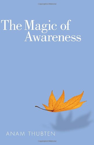 the magic of awareness