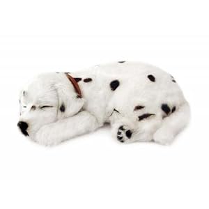 Perfect Petzzz Dalmation by Perfect Petzzz