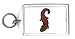 Keychain with mudpuppy, swimming, salamander, brown, amphibian