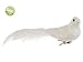 Allstate Snowy Winter Feathered White Song Bird Clip-On Christmas Ornament, 3