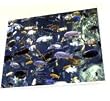 Custom Artwork - 16" x 20" Canvas on Frame - A Beautiful Work of Art Created from Your Favorite Photo