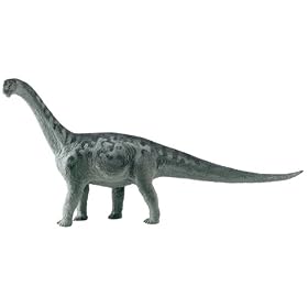 Camarasaurus