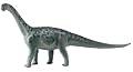 Carnegie Collection- Camarasaurus