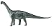 Carnegie Collection- Camarasaurus