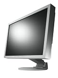 EIZO EV2411WE GY 24 Zoll Widescreen LCD Monitor mit LED Backlight, DVI D und DSub  lichtgrau, EasyUp Standfuß Monitor