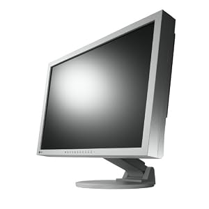 EIZO EV2411WE-GY 24 Zoll Widescreen LCD Monitor mit LED Backlight, DVI-D und DSub (Kontrast 1000:1, 5ms Reaktionszeit) lichtgrau, EasyUp-Standfuß
