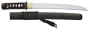 CAS Hanwei Raptor Tanto