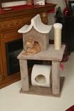 Pet Supplies : Paus Cat Pagoda House
