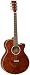 Tanglewood Super Folk Acoustic Guitar with Bubinga Top, Back & Sides, Natural Gloss Finish (TSF-CE-XB)
