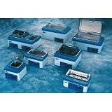 Fisher Scientific Isotemp Digital-Control Water Bath, Model 220, 20L, Acrylic, 120V