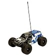 ECX 2WD 1/18 SMASH MONSTER TRUCK BLUE