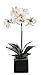 House of Silk Flowers Artificial 17-Inch Phalaenopsis Orchid, Mini, White