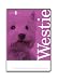 West Highland Terrier, Westie, Dog Grooming Instructional How To DVD Video and Equipment Guide