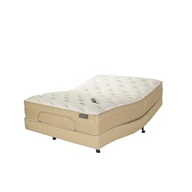 Adjustables Pro-Motion Queen Adjustable Base with Eurotop Mattress