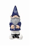 Villanova University Lucky Garden Gnome