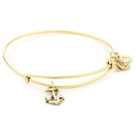 Alex And Ani Bangle Bar Anchor Bangle