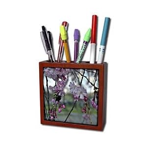 WhiteOak Photography Floral Prints - Bee on Cherry Blossom - Tile Pen Holders-5 inch tile pen holder