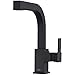 Pfister LG534-LPMS Arkitek Kitchen Faucet with Pull-out Sprayhead Stainless steel (Renewed)