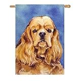 Cocker Spaniel Banner