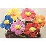 Plush Asst Flower with Bug 18"