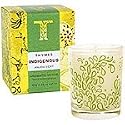 Thymes Indigenous Aromatic Votive Candle, Anjou Vert