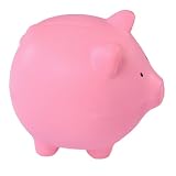 Piggy Bank Stress Toy