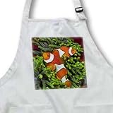 Two Clown Anemonefish in Magnificant Sea Anemone.(Amphiprion percula).Solomon Islands - Medium Length Apron With Pouch Pockets 22w X 24l