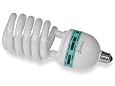 85 Watt Fluorescent Full Spectrum Bulb by Square Perfect