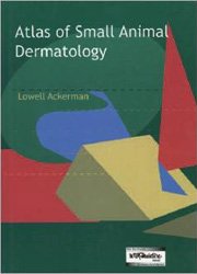 Dermatology