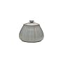 Denby Mist Falls Covered Sugar Bowl 400g
