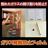 �K���X��U�h�~�t�B�����@4���g