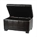Small Manhattan Storage Bench in Brown