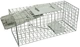 Kitchen & Housewares : Squirrel Cage Trap