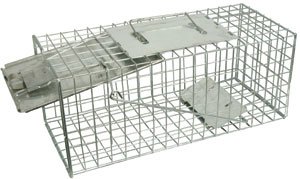 Childrens Toyshop  Kitchen & Housewares : Squirrel Cage Trap
