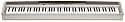 Casio PX120 Privia Digital Stage Piano