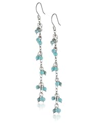 Lucky Brand Silver and Turquoise Linear Beaded Earrings