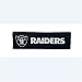 NFL Team Shoulder Pad, Oakland Raiders