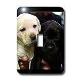Dogs Labrador Retriever - Black and Yellow Lab Puppies - Light Switch Covers - single toggle switch