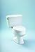 Toto CST716B#04 Gray Carusoe 1.6GPF Two-Piece Elongated Toilet with Bolt Down Lid (Less Seat) CST716