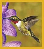 Humming Bird with purple Flower Bookmark