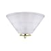 Westinghouse 64494 One-Light Wall Sconce, Polished Brass with Frosted Ribbed Glass