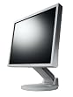 Eizo FlexScan S1932E 48,3 cm (19 Zoll) TFT-Monitor DVI mit Lautsprechern und EzUp Stand grau (Kontrast 1000:1, 8ms Reaktionszeit)