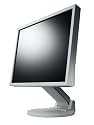 Eizo FlexScan S1932E 48,3 cm (19 Zoll) TFT-Monitor DVI mit Lautsprechern und EzUp Stand grau (Kontrast 1000:1, 8ms Reaktionszeit)