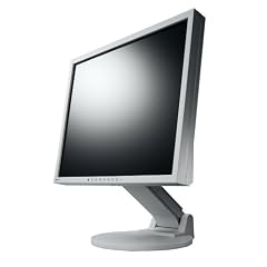 Eizo FlexScan S1932E 48,3 cm (19 Zoll) TFT-Monitor DVI mit Lautsprechern und EzUp Stand grau (Kontrast 1000:1, 8ms Reaktionszeit)