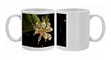 JLM-5554 Marsh Marigold / Kingcup Photo Mugs