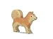 Husky Dog