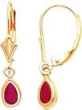14K Yellow Gold Ruby July Dangle Earrings Jewelry