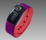 Nike + SportBand (Red Plum/Crimson)