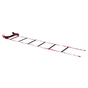Gamma Mobility Ladder with Carry Case