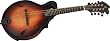 Breedlove American Series FF Mandolin, Burst